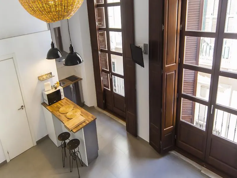 Apartamentos Malaga Picasso Apartment