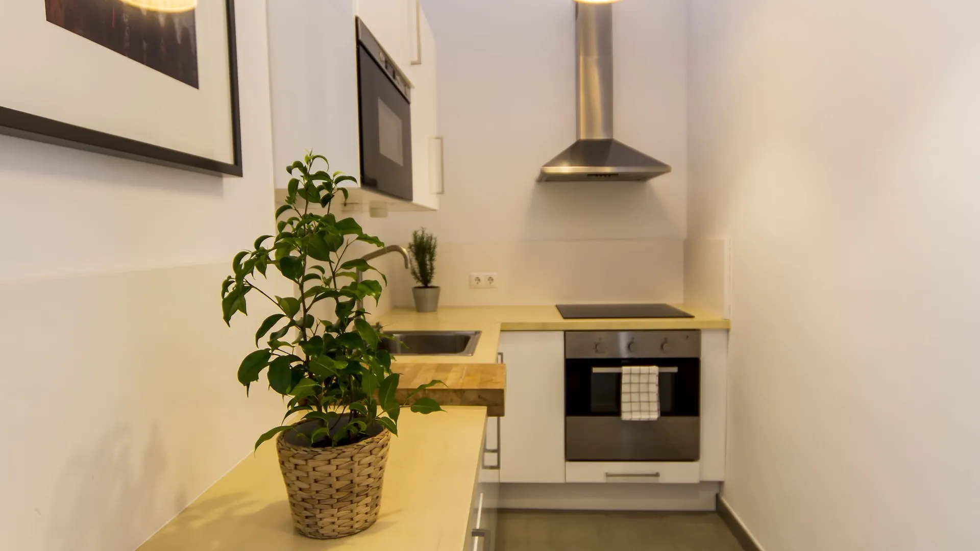 Apartment Apartamentos Malaga Picasso Spain